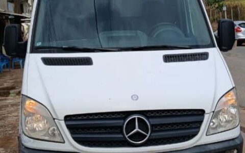 IMBENZ313 CDI 2019 (3)